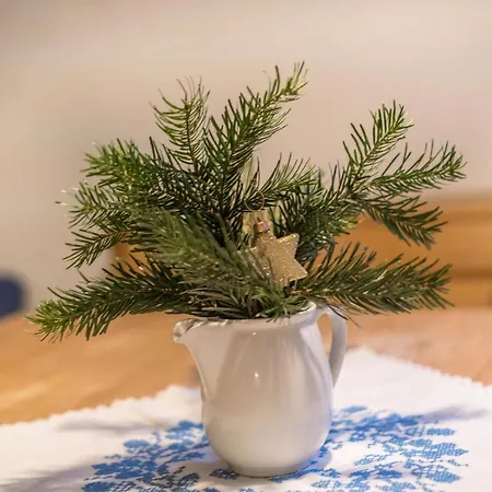 Daire Bergprinzessin *